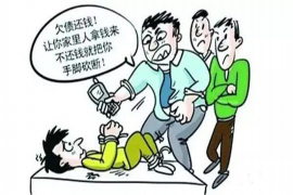 镇康为什么选择专业追讨公司来处理您的债务纠纷？