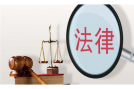 镇康镇康的要账公司在催收过程中的策略和技巧有哪些？